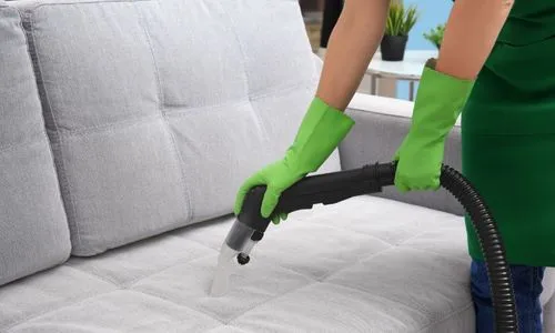 Upholstery Cleaning 