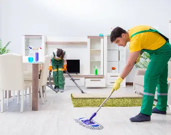 Professional House Cleaning and Why You Need It