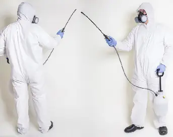 Is Fogging the Best Way to Disinfect Your Office