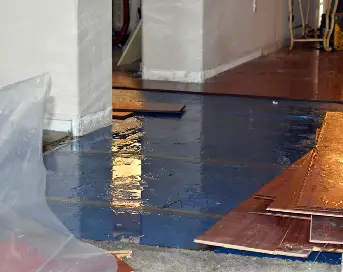 Our Water Damage Restoration Process in San Antonio