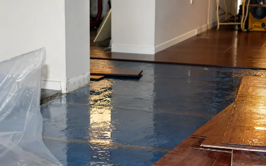 Our Water Damage Restoration Process in San Antonio