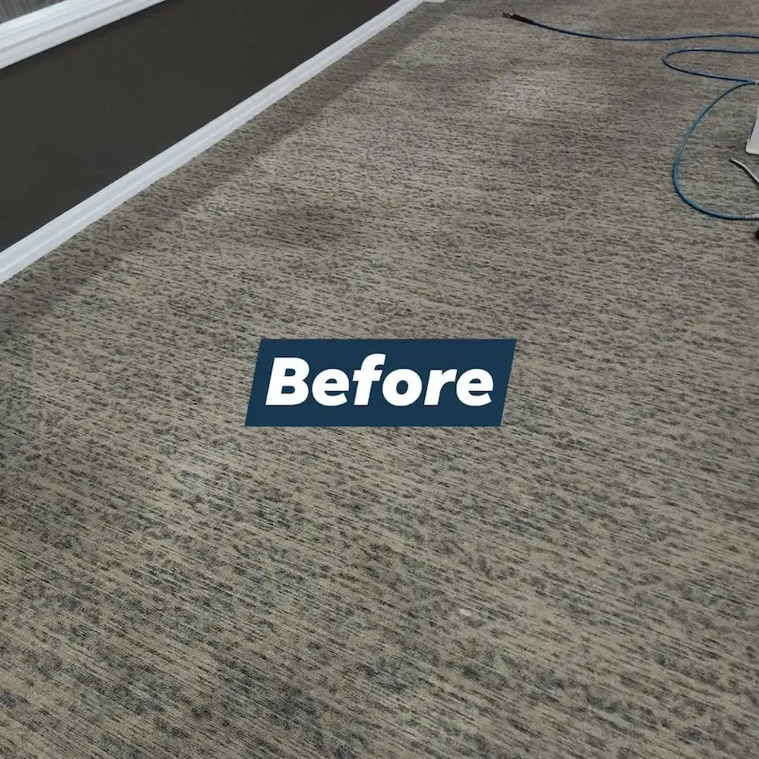 Carpet cleaning result before profesional deep cleaning